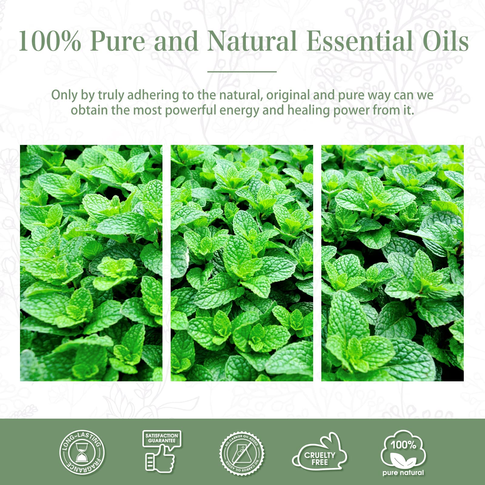 PHATOIL Spearmint bottle used in bath bomb making and DIY projects.