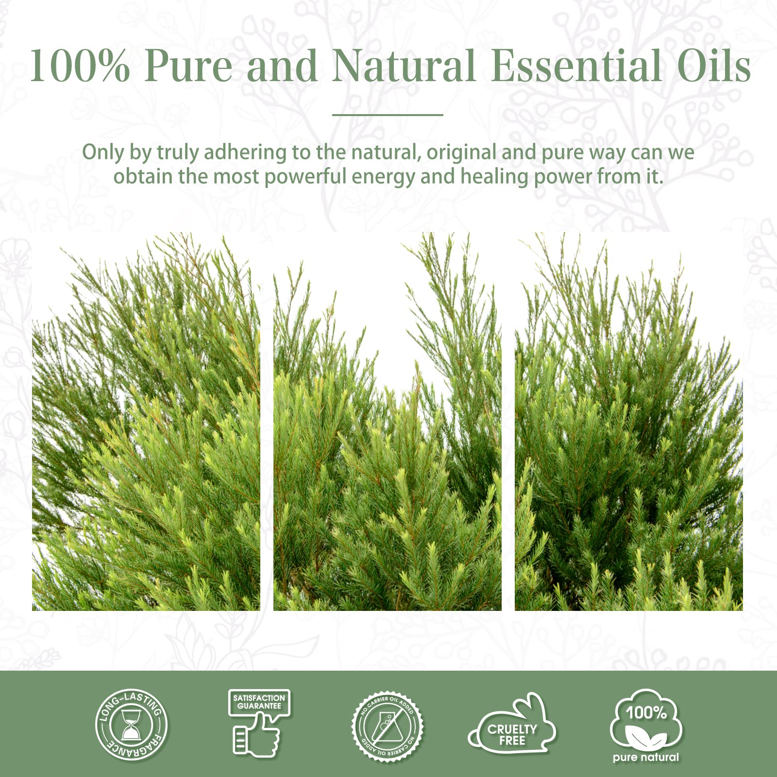 PHATOIL Tea Tree Oil cruelty-free and responsibly sourced.