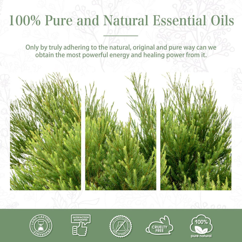 PHATOIL Tea Tree Oil cruelty-free and responsibly sourced.