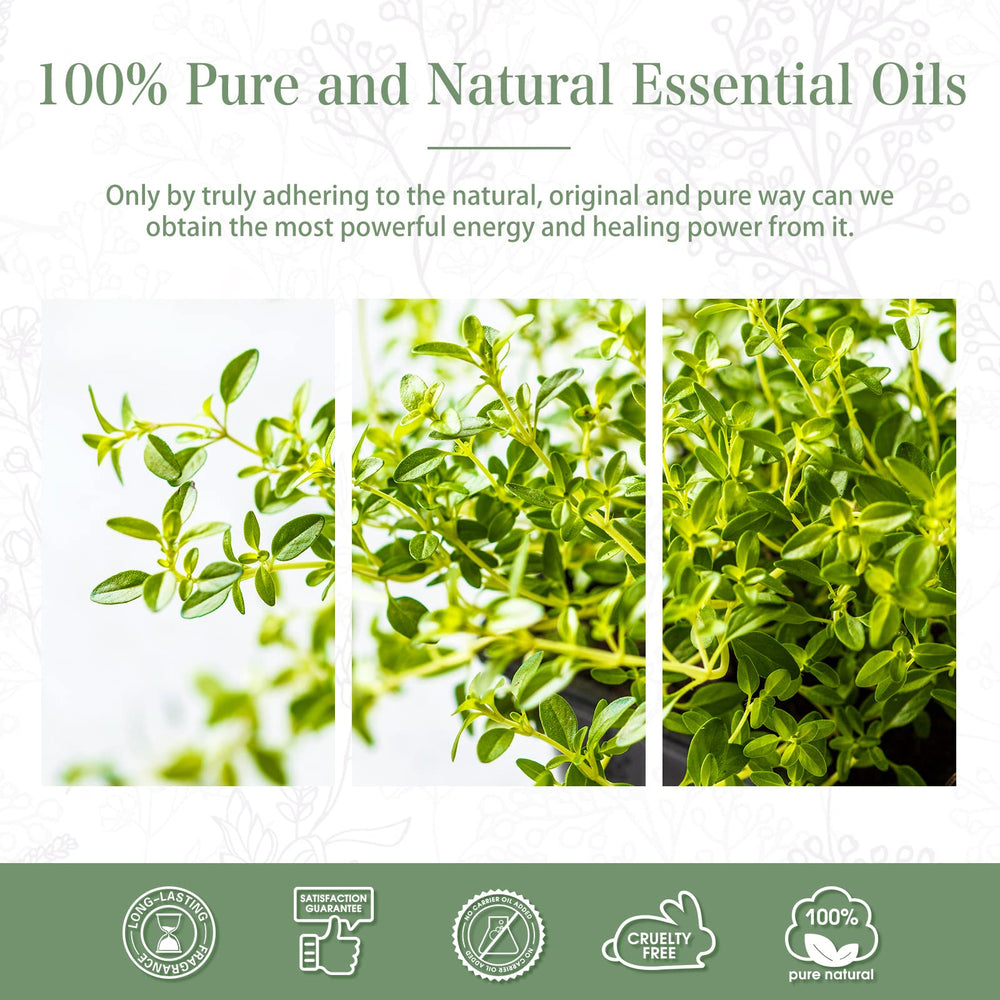PHATOIL Thyme Essential Oil amber bottle protects quality