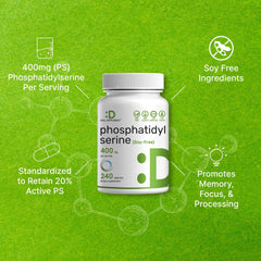 Phosphatidylserine sunflower lecithin origin — clean allergen profile.