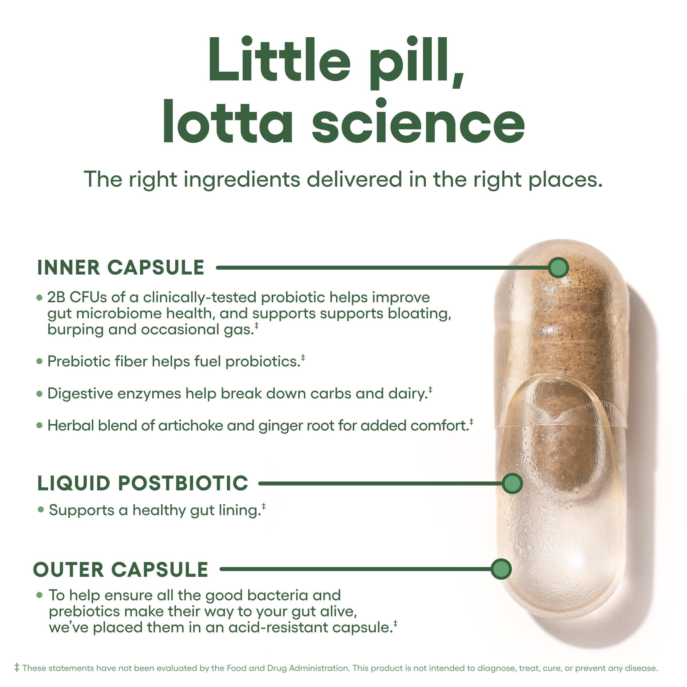 Physician's CHOICE delayed-release capsules aid digestion after meals