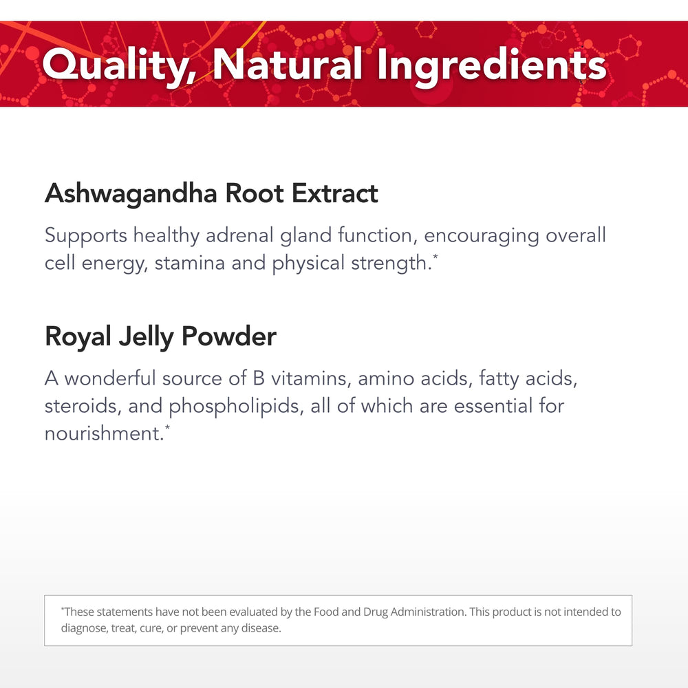 EstroBalance wild raw kelp segment, providing natural nutrient source