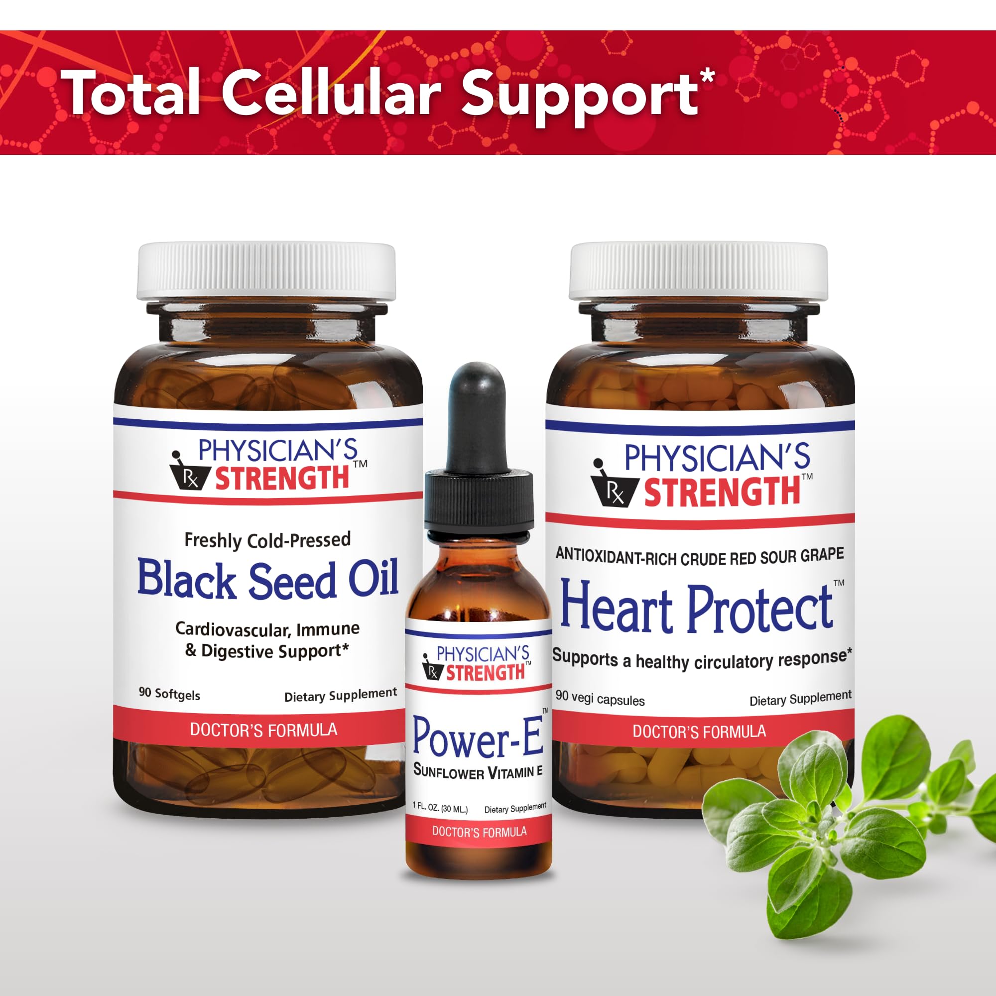 Physician's Strength Power-E wild red palm component illustrated as a unique plant-derived ingredient.