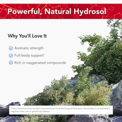Physician's Strength Wild Oregano Essence label highlights non-GMO and chemical-free promise