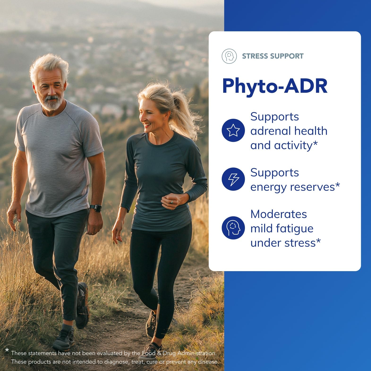 Phyto-ADR Panax ginseng ingredients support energy balance.