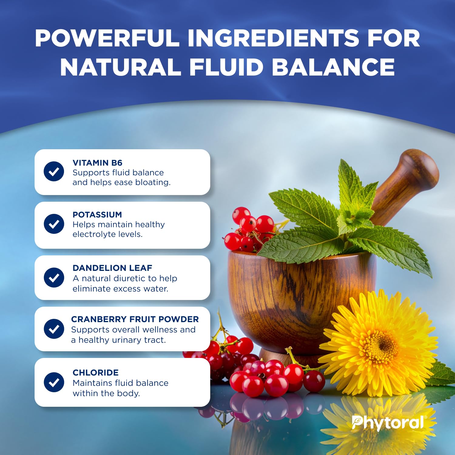 PHYTORAL capsules on surface beside bottle for convenient daily use.