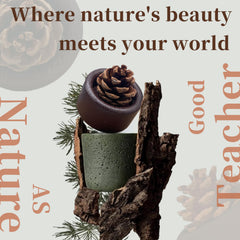 Pinecone Passive Diffuser placed on a car dashboard offers portable fragrance.