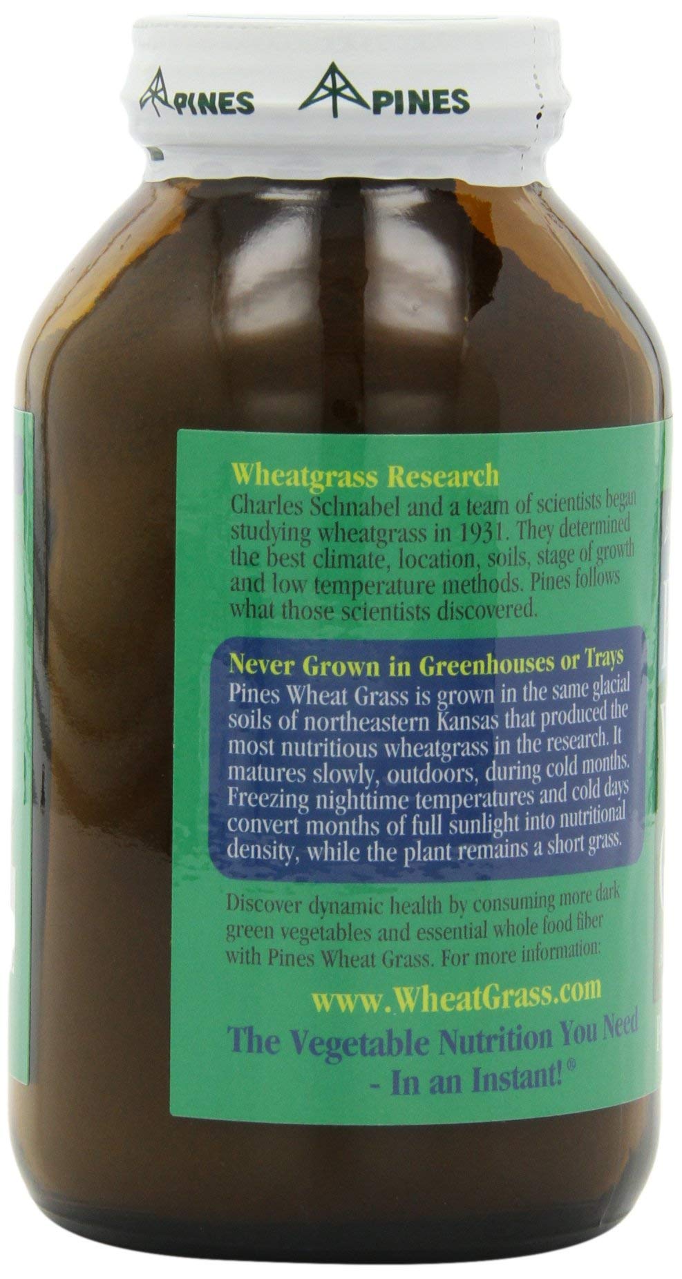 Pines Wheat Grass Powder dissolves easily in water for quick hydration.