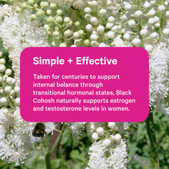 Pink Stork Black Cohosh bottle label closeup highlights ingredients.