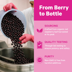 Pink Stork Vitex chaste tree berry capsules shown for daily cycle support