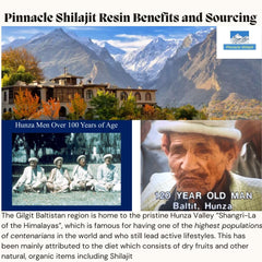 Pinnacle Shilajit Gold Grade resin in cup highlights energy lift.