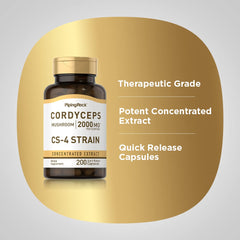 Piping Rock Cordyceps capsules poured for convenient daily dosing.
