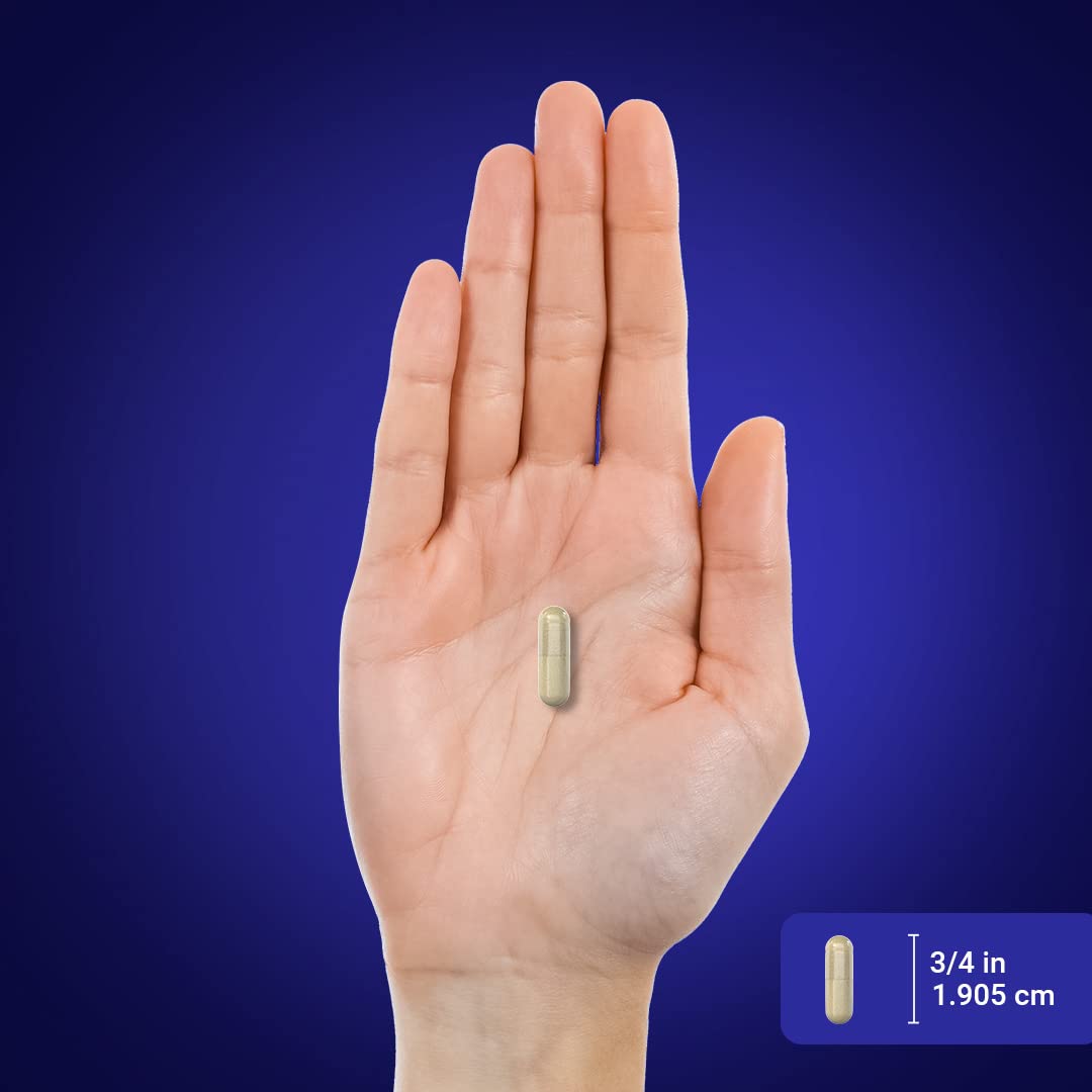 Piping Rock Huperzine A bottle pouring capsules into a hand for daily use.