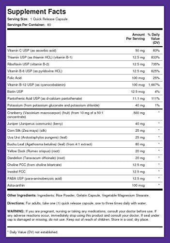 Piping Rock Kidney Support in a daily routine use scene