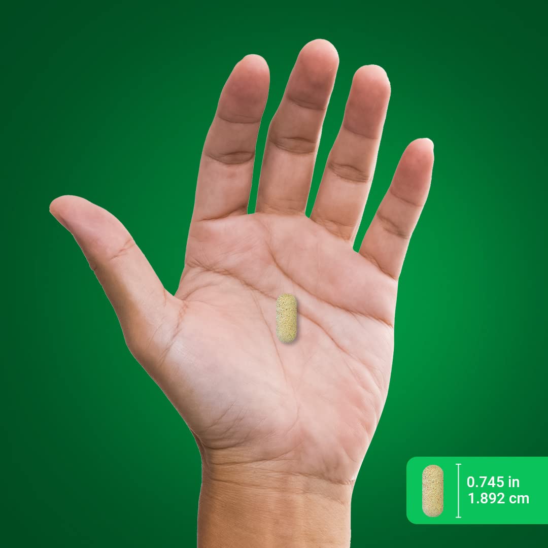 Piping Rock tinnitus supplement lifestyle image suggesting daily routine.