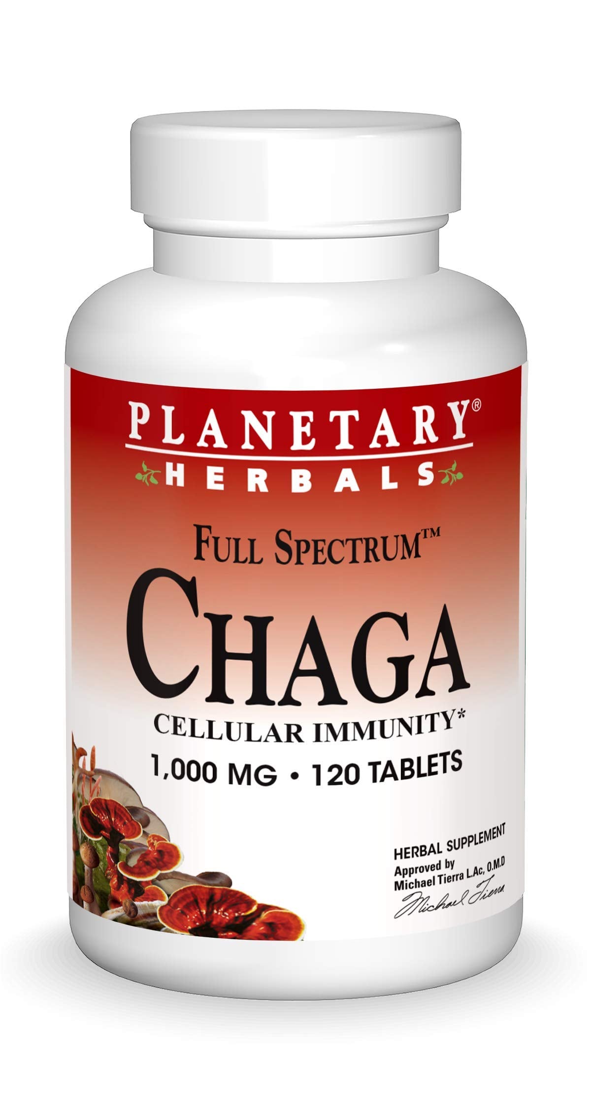 Planetary Herbals Chaga Full Spectrum bottle with capsules for daily immune support.