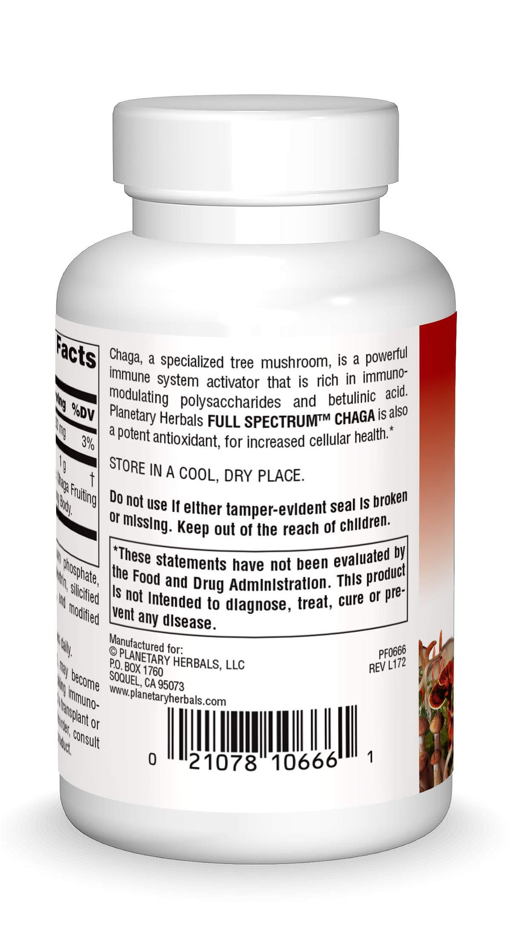 Planetary Herbals Chaga Full Spectrum capsules ready to take with water.