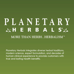 Planetary Herbals Chaga Full Spectrum fruiting body visuals.