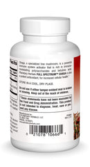 Planetary Herbals Chaga tablets closeup for easy everyday immune-friendly use.