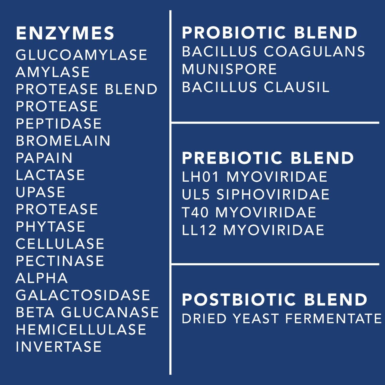 PLANT.O NUTRITION energy and gut wellbeing concept in daily life imagery.