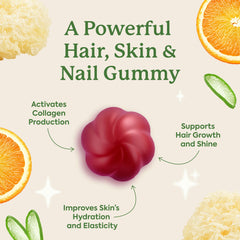 Plant People WonderBeauty Tremella mushroom ingredient spotlight for collagen-friendly beauty routine.