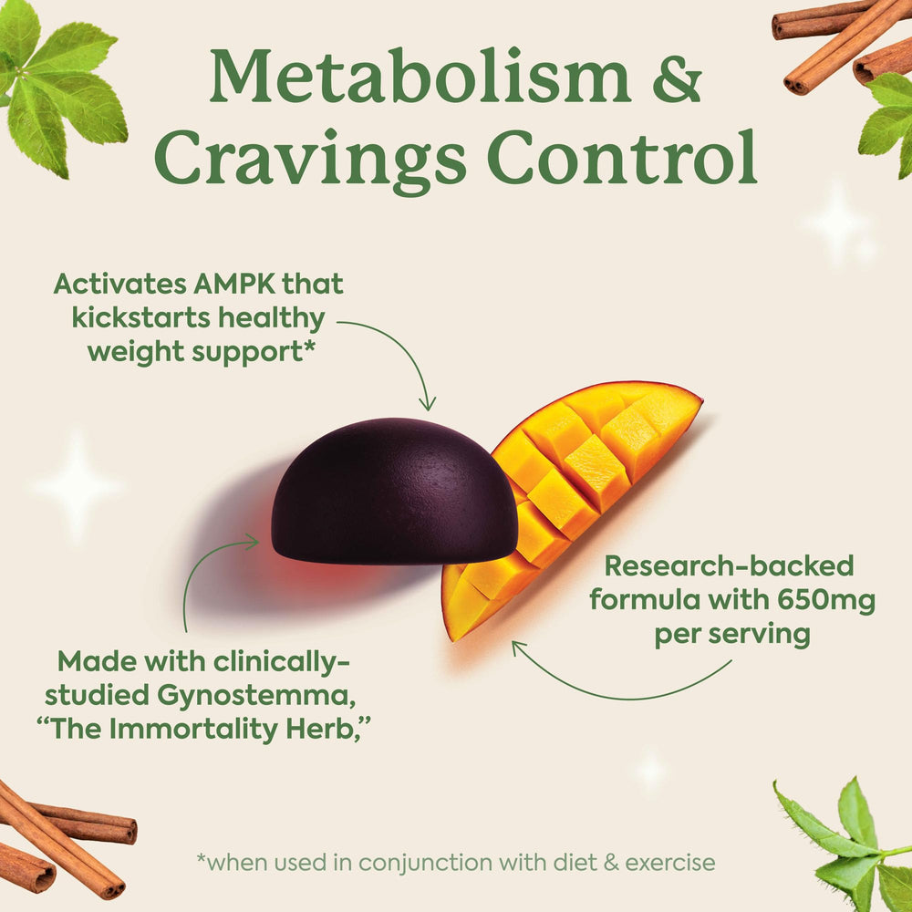 Cinnamon-based ingredient close-up hints at a flavor-forward, metabolic-friendly profile without sugar.
