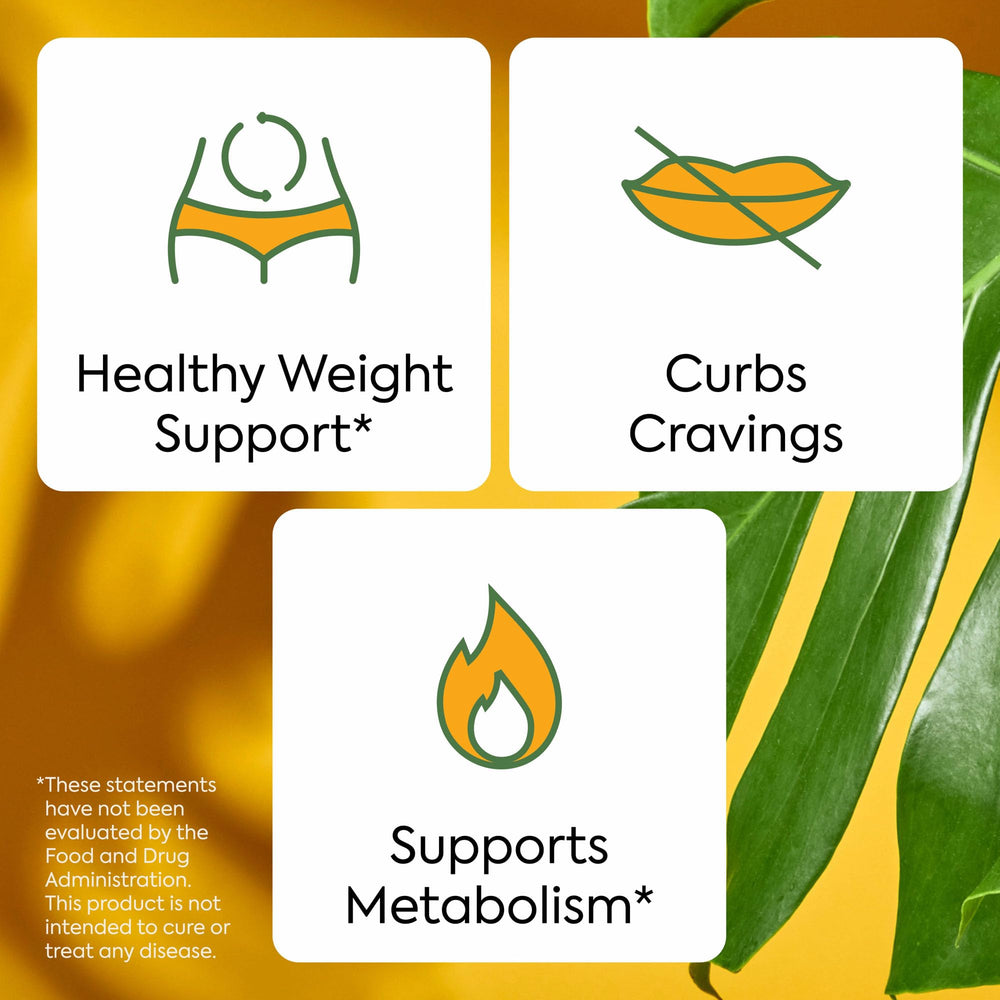 Gynostemma pentaphyllum emblem shown with circle text emphasizing plant-based support.