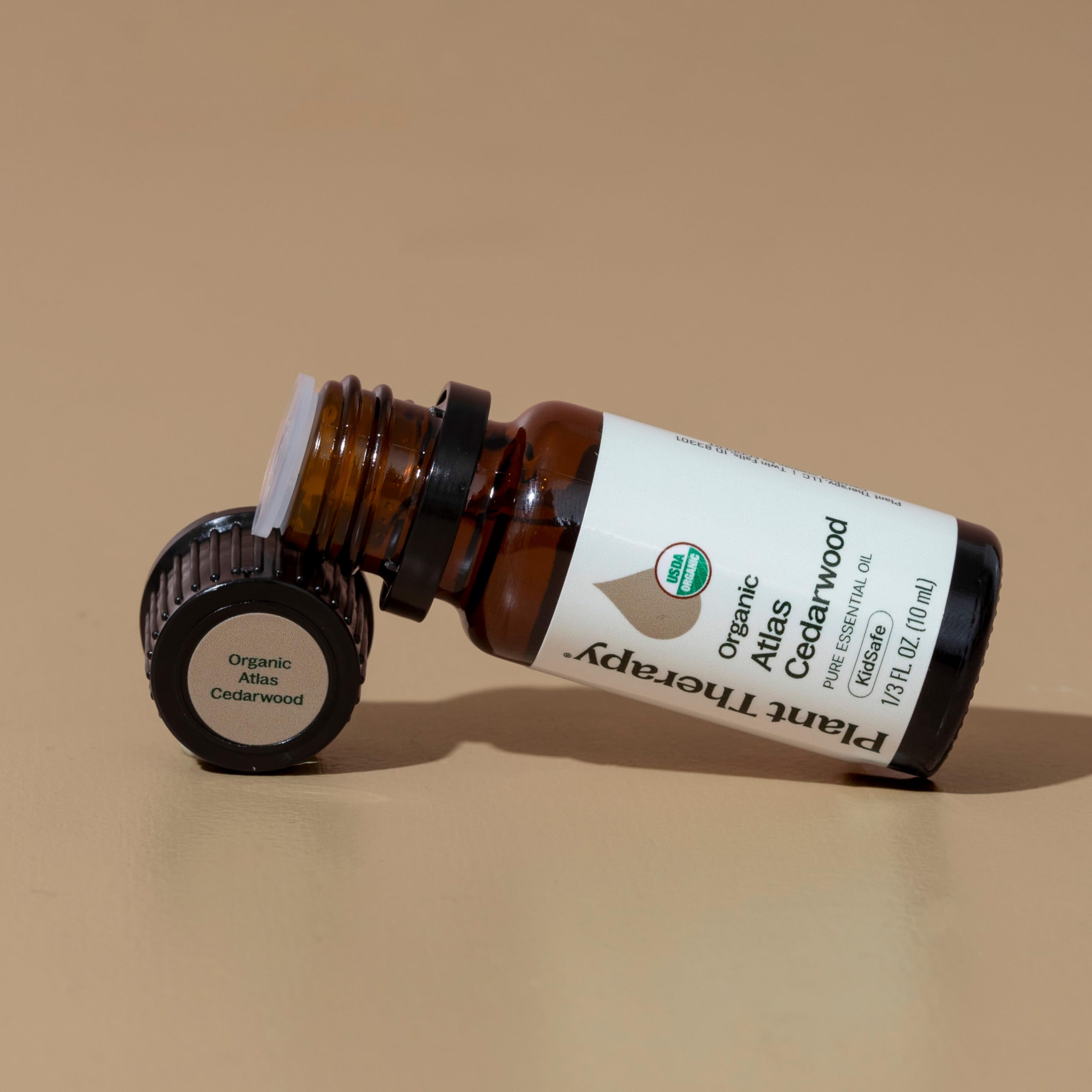 A diffuser room scene featuring Plant Therapy Atlas Cedarwood for earthy notes.