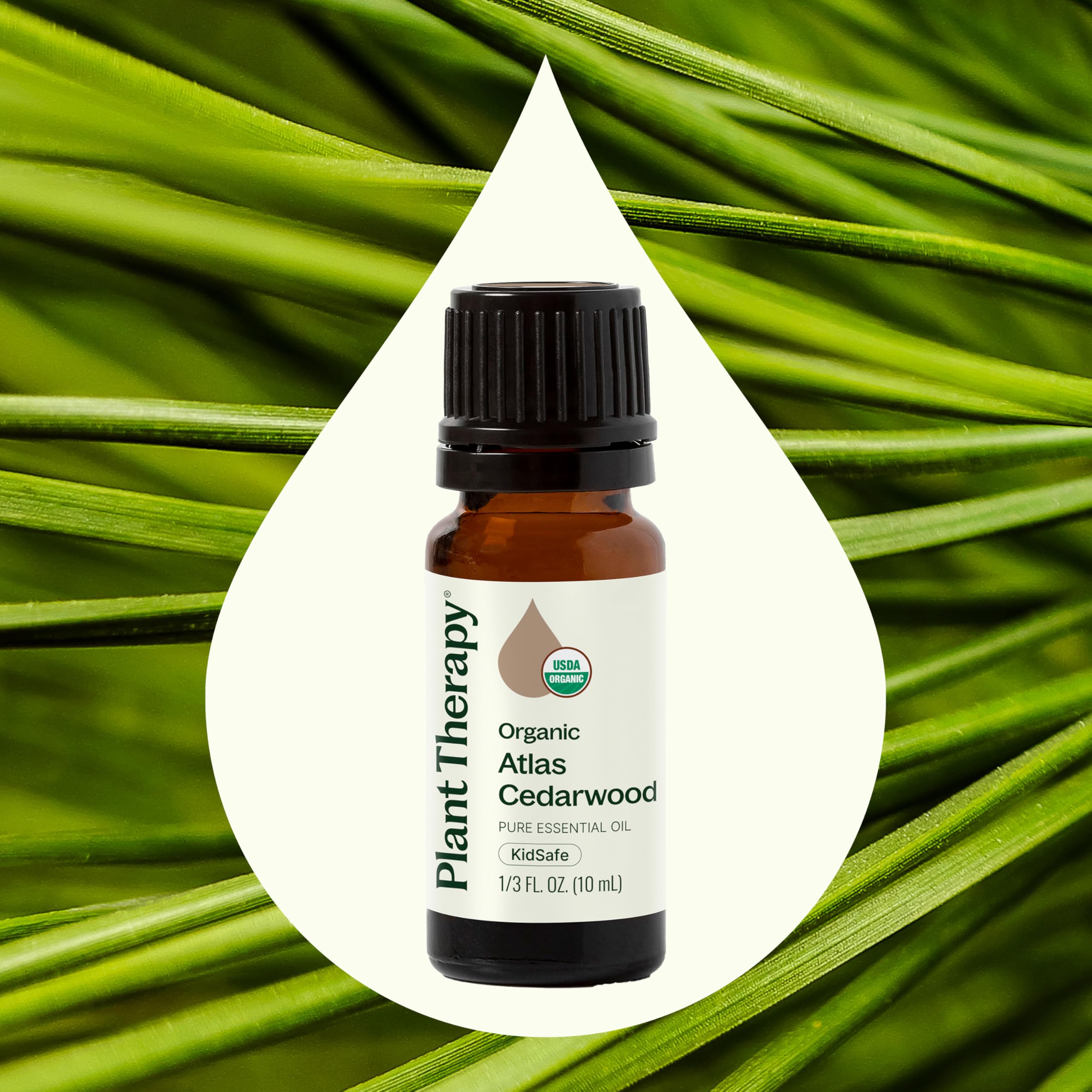 Plant Therapy Atlas Cedarwood dropper ready for safe topical application after dilution.