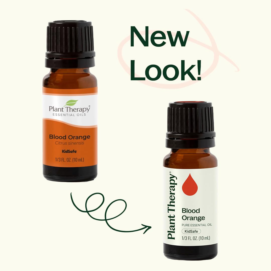 Affordable Plant Therapy essential oils offer quality without breaking the budget.