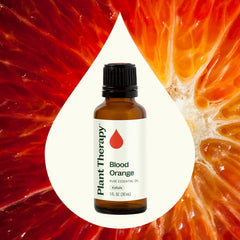 Plant Therapy Blood Orange essential oil bottle beside diffuser, offering uplifting citrus ambiance.