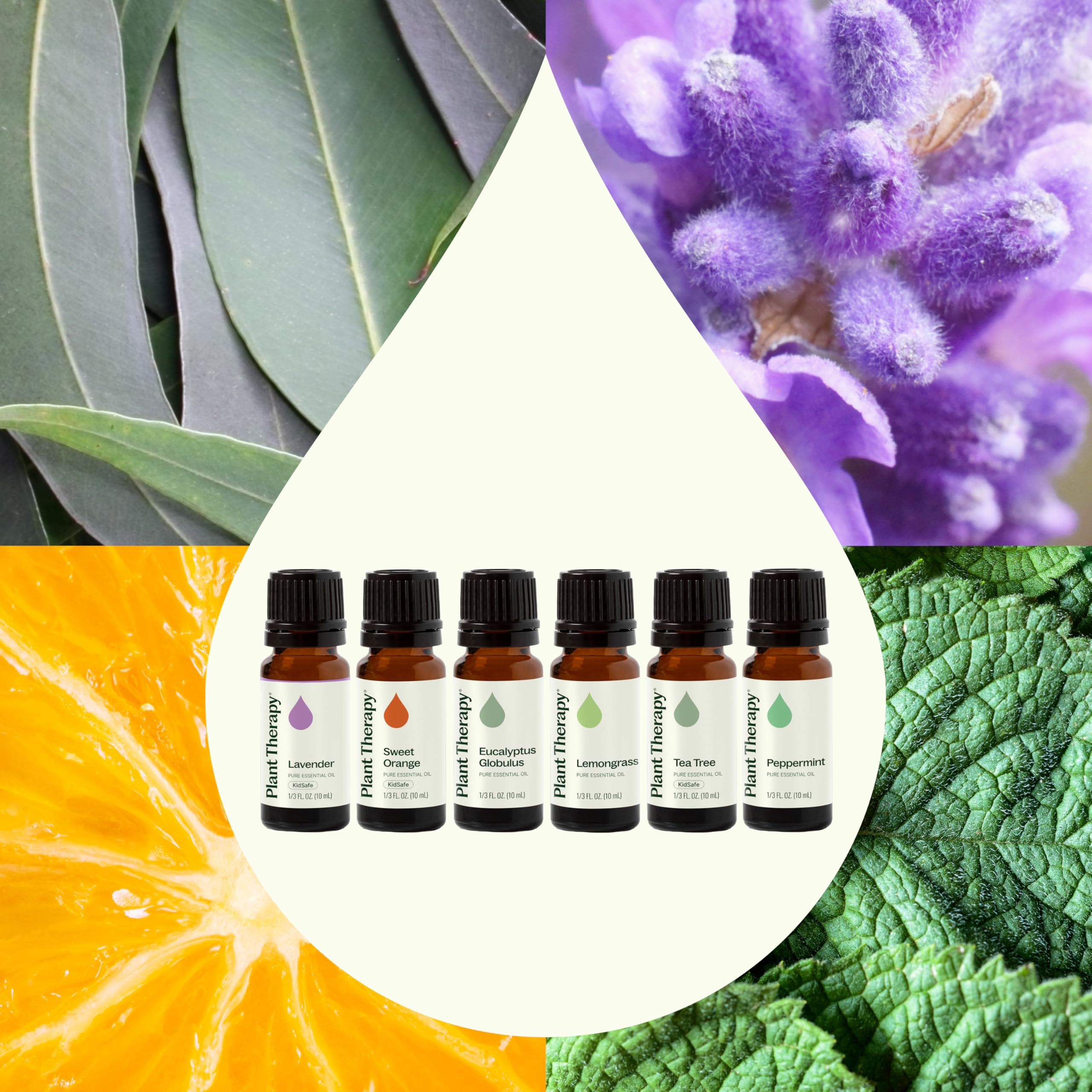 Plant Therapy Breathe Easy Lemongrass 10ml bottle adds bright citrus scent