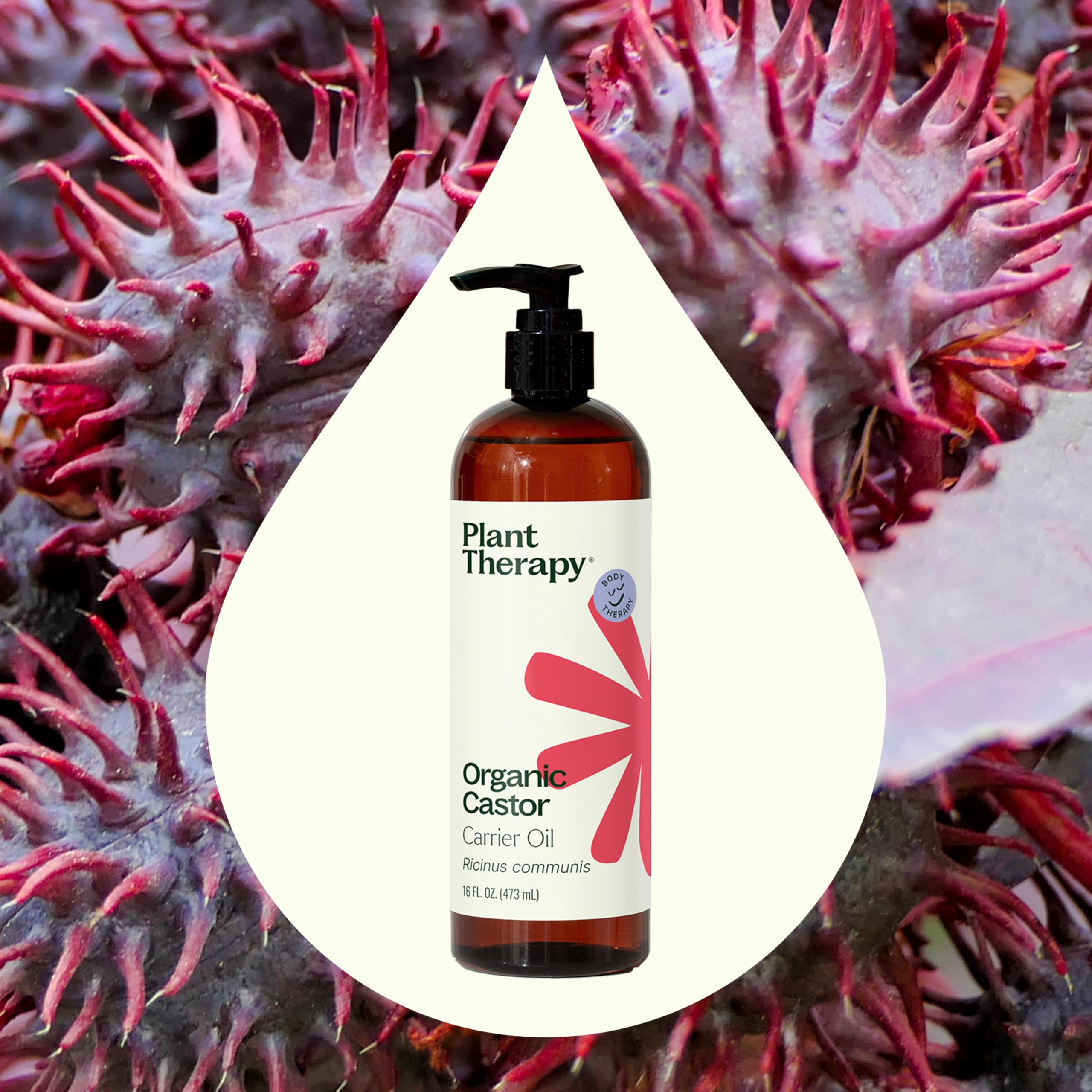 Plant Therapy Castor Oil for hair care supports moisture and shine.