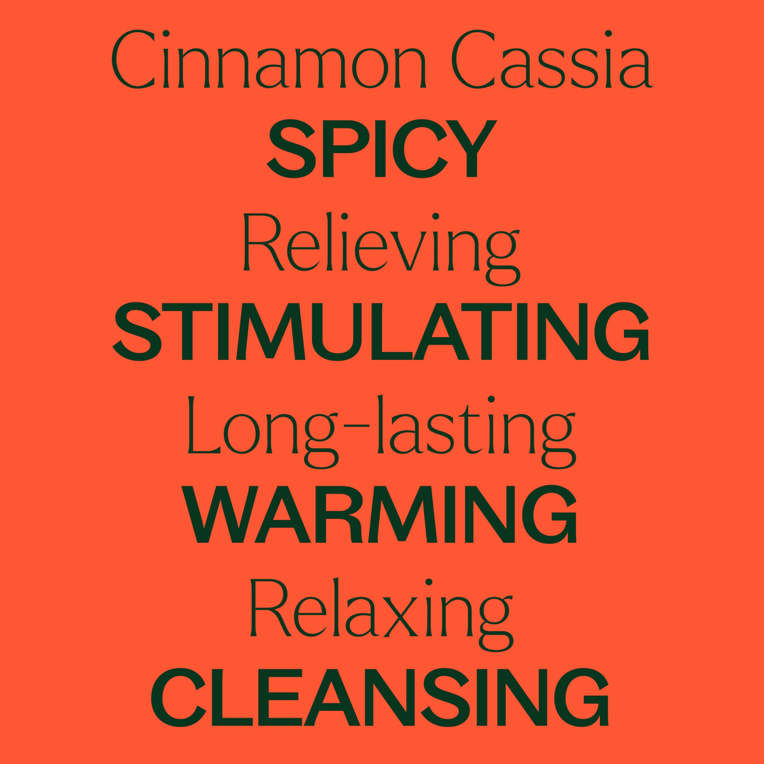 Plant Therapy cinnamon cassia oil in diffuser necklace creating warm seasonal scent.