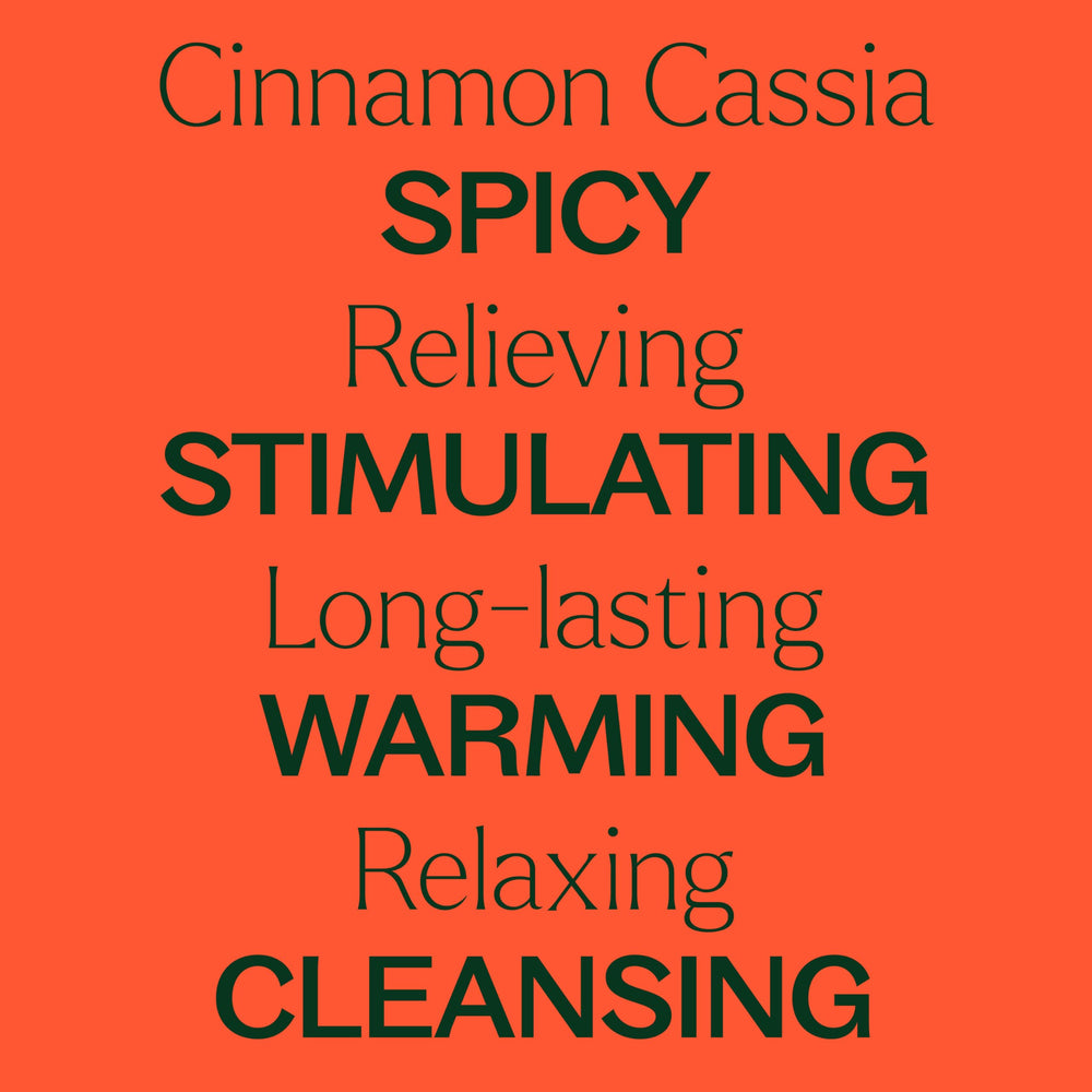 Plant Therapy cinnamon cassia oil in diffuser necklace creating warm seasonal scent.