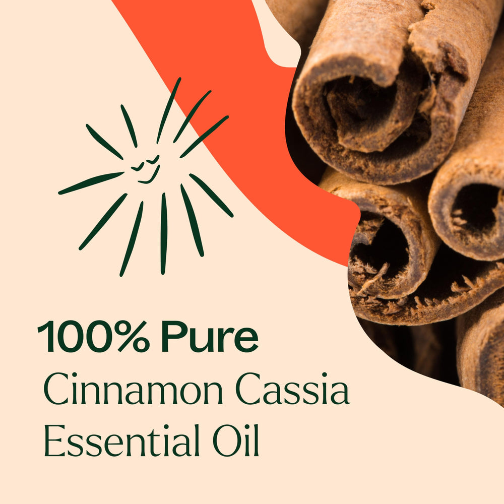Plant Therapy cinnamon cassia oil with toothpick dosing for controlled topical use.