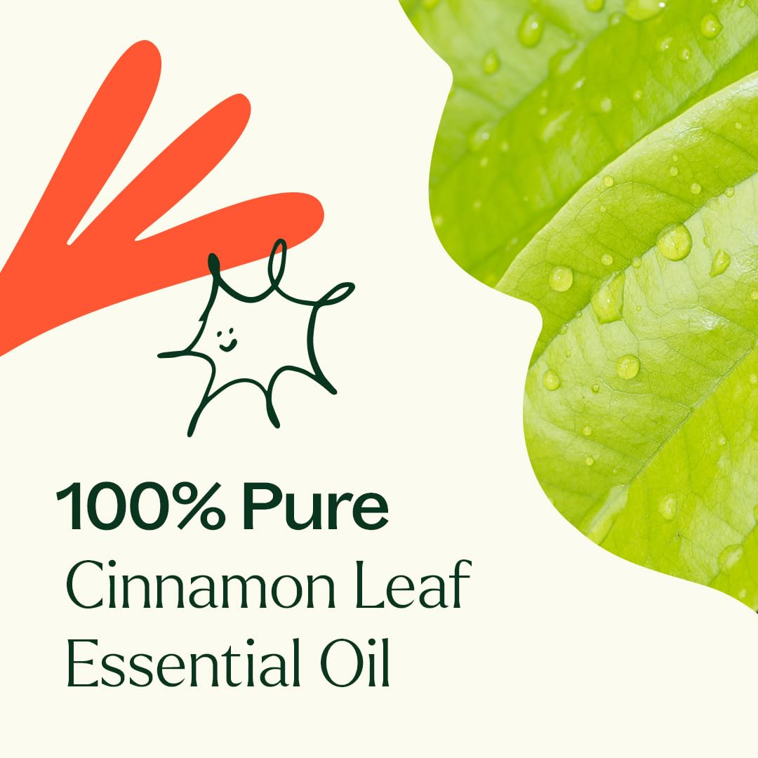 Plant Therapy Cinnamon Leaf Oil diffuser blend creates warm spicy ambience