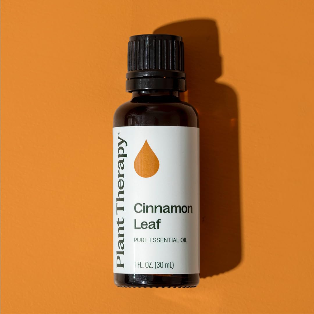Plant Therapy Cinnamon Leaf Oil on kitchen counter ready for blends