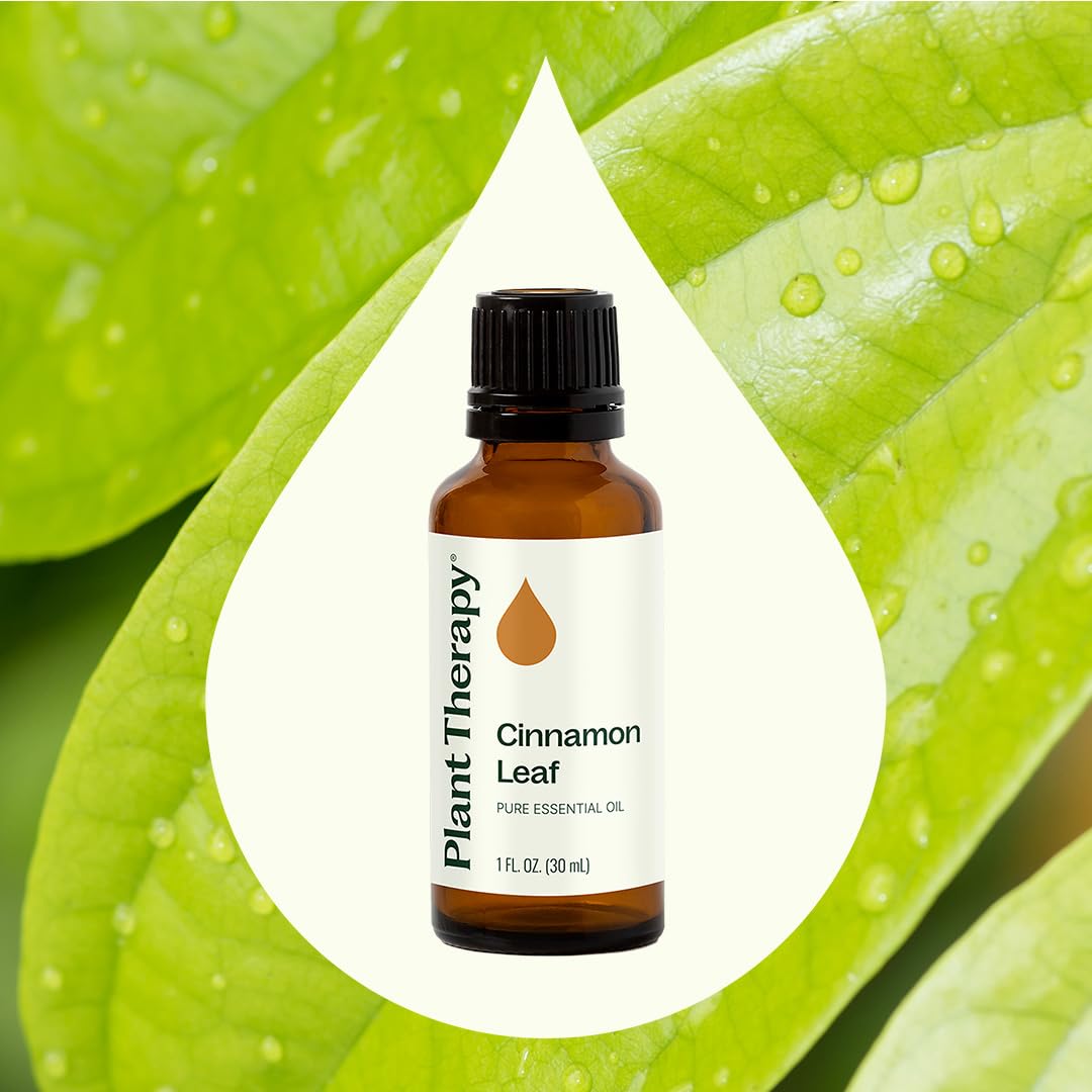 Plant Therapy Cinnamon Leaf Oil label highlights pure, undiluted quality