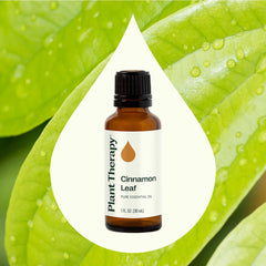 Plant Therapy Cinnamon Leaf Oil label highlights pure, undiluted quality