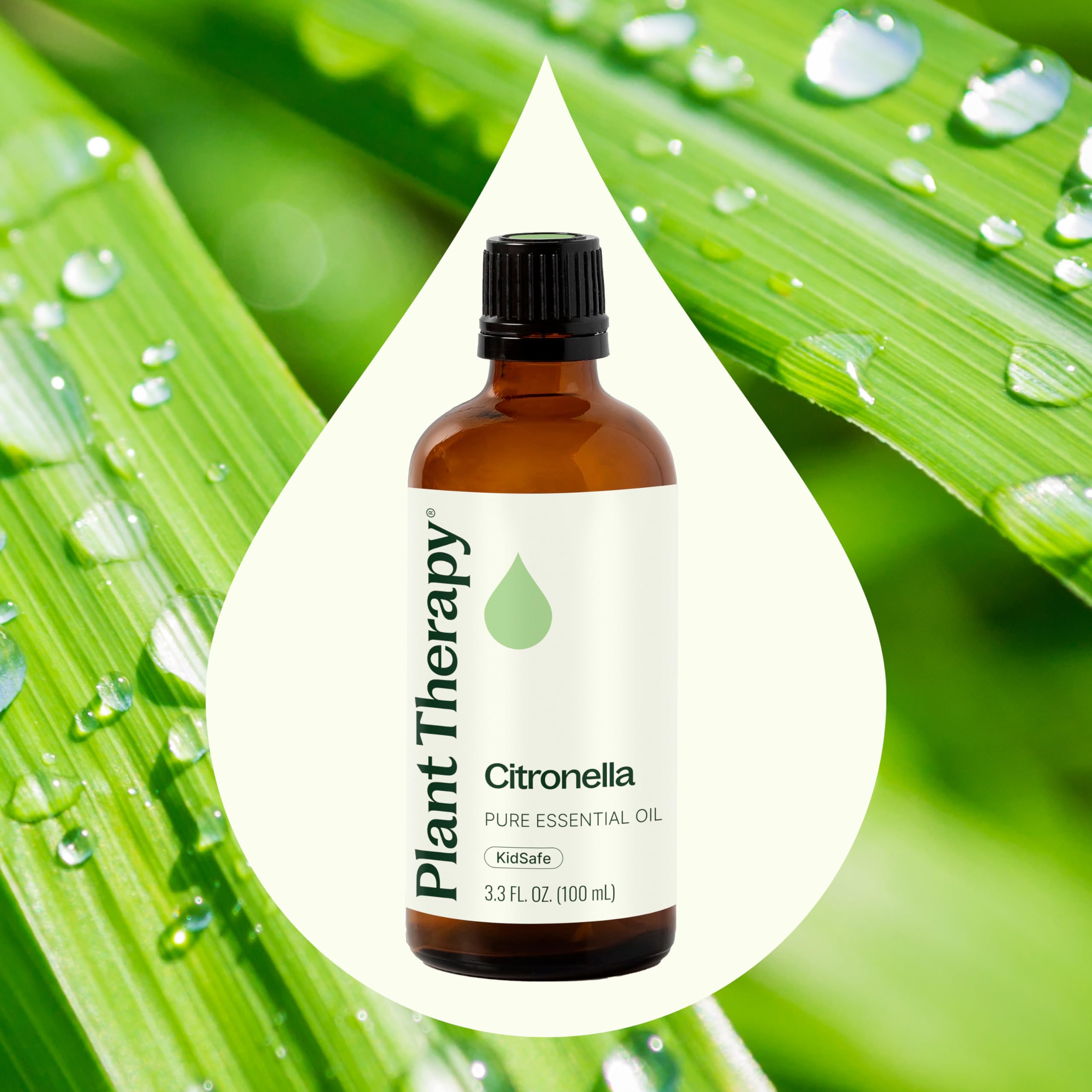 Plant Therapy Citronella Oil diffuser scene for relaxing evenings.
