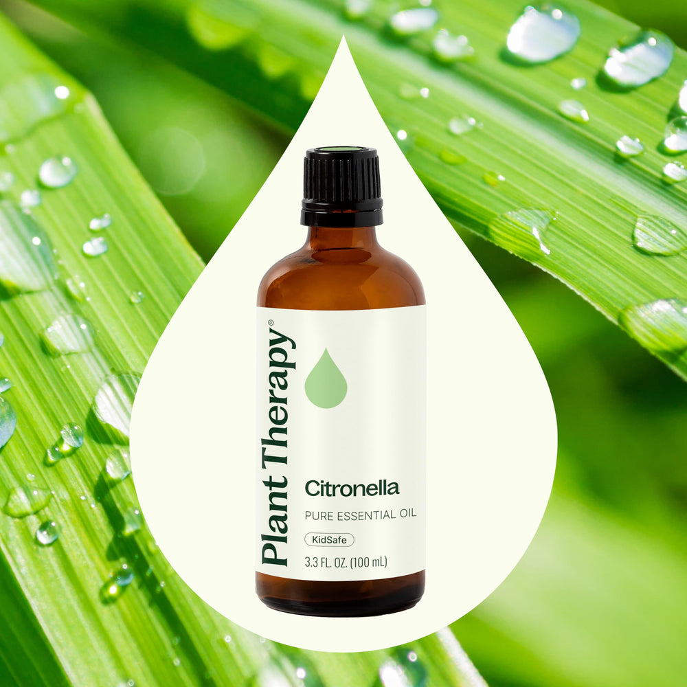 Plant Therapy Citronella Oil diffuser scene for relaxing evenings.