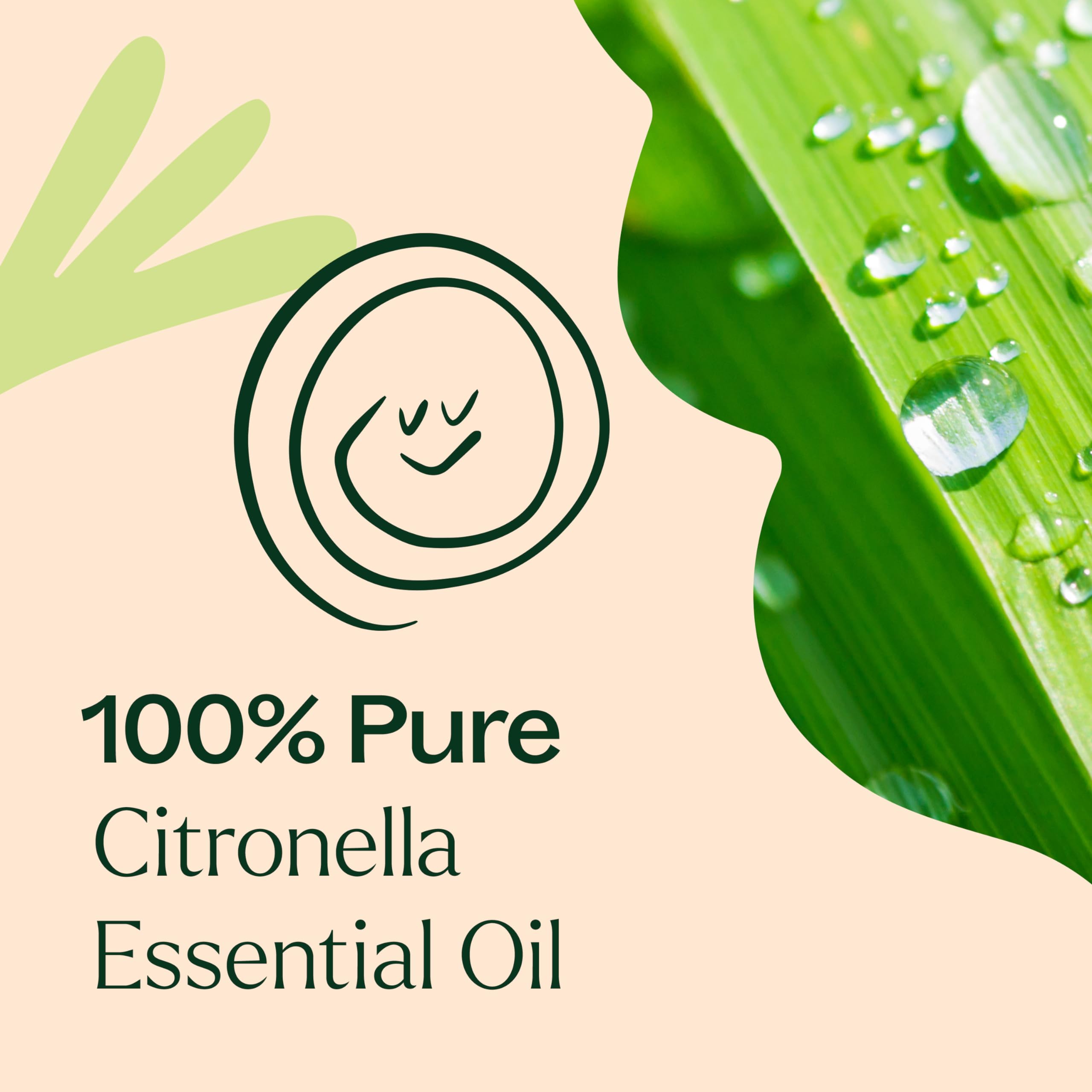 Plant Therapy Citronella Oil used in DIY outdoor blend.