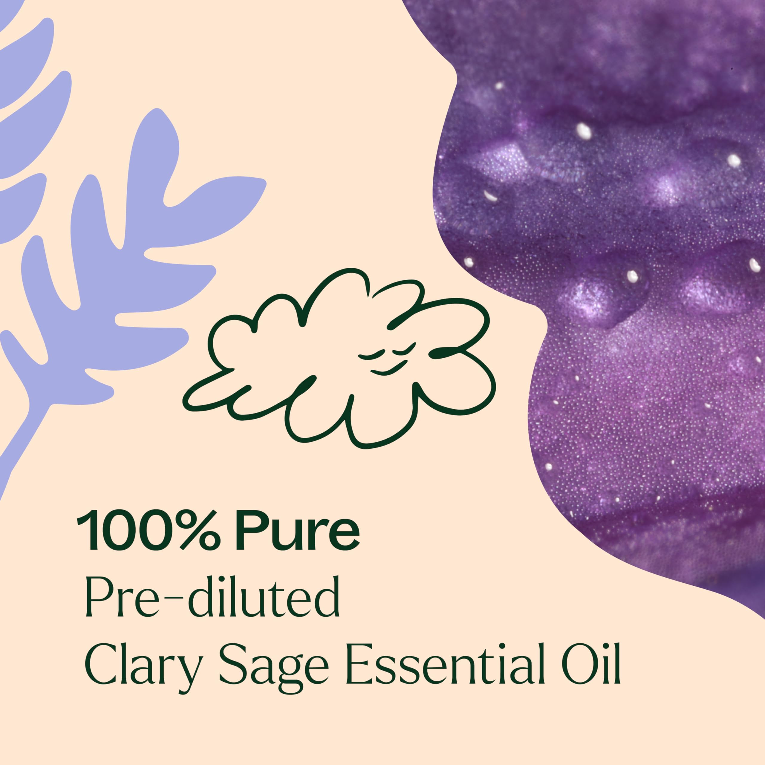 Plant Therapy Clary Sage aroma highlights earthy fruity floral notes
