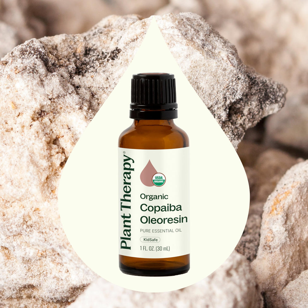 Plant Therapy Copaiba Oleoresin diffuser showing warm, woodsy aroma