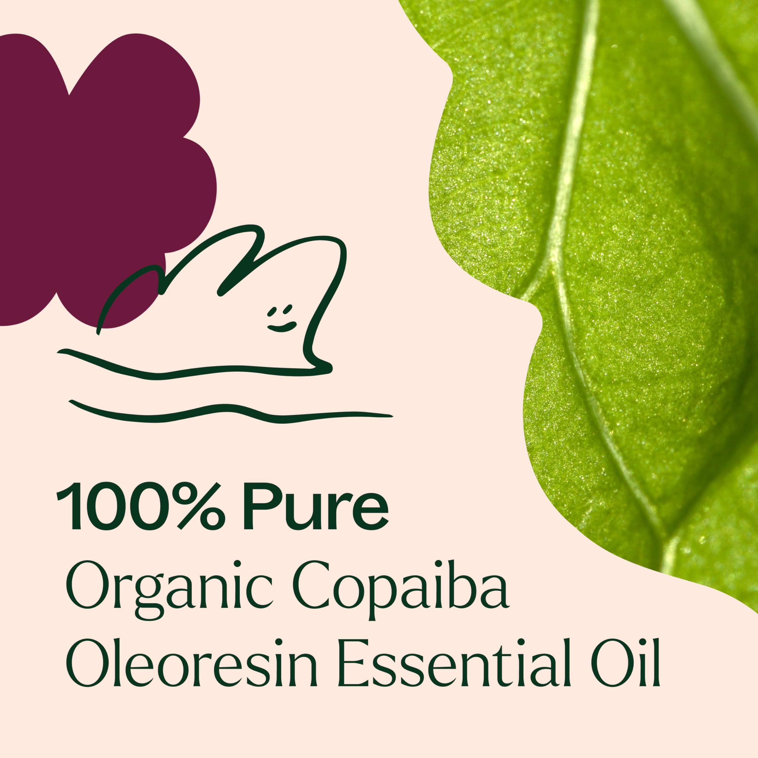 Plant Therapy Copaiba Oleoresin dropper enabling precise topical usage