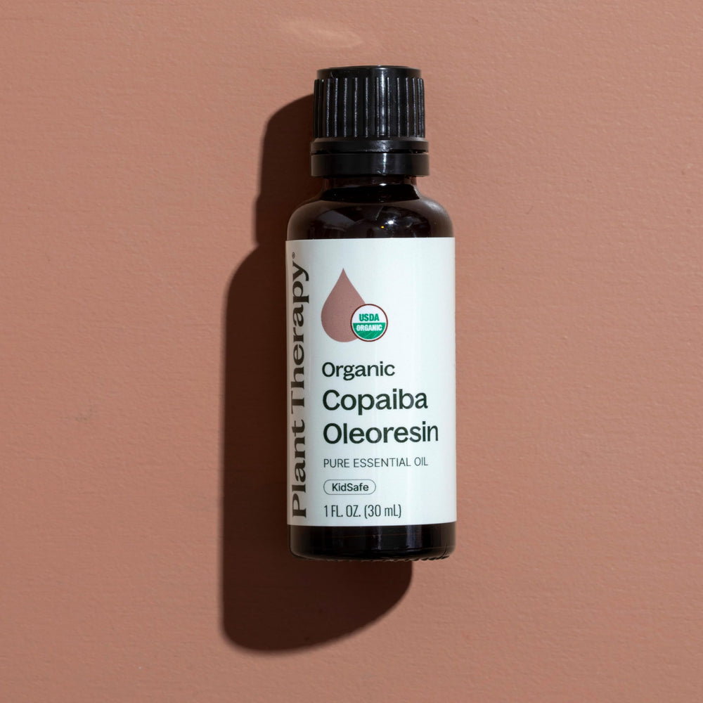 Plant Therapy Copaiba Oleoresin massage blend preparation for soothing application