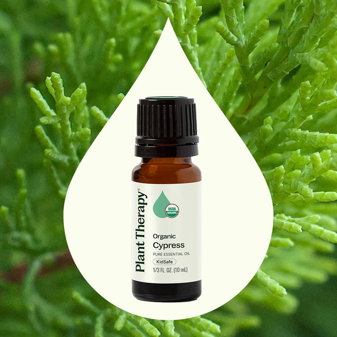 Plant Therapy Cypress aroma fills spaces with fresh evergreen notes.