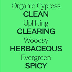 Plant Therapy Cypress leaves highlight natural origin and plant distillation.